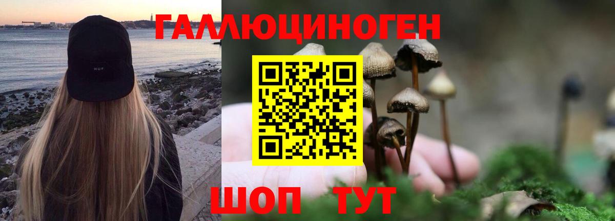 Нягань  Псилоцибиновые грибы Magic Shrooms  цены наркотик  Галлюциногенные грибы GOLDEN TEACHER  Вход с VPN 